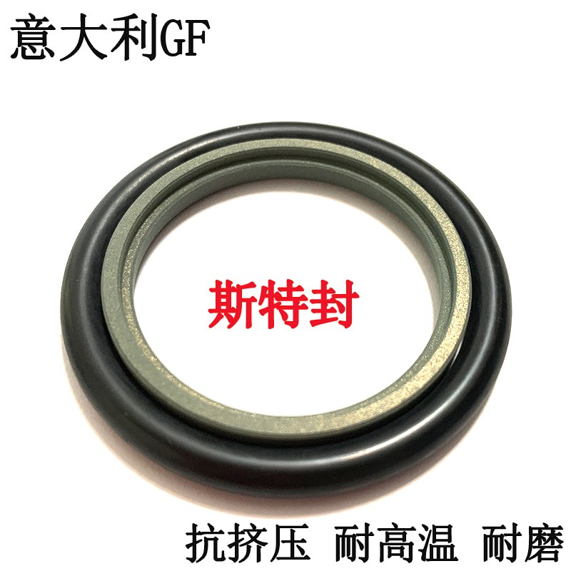 意大利GF斯特封轴用密封圈旋转210/215/220/225/230/235/240* 8.1