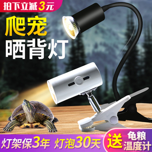 乌龟晒背灯架uvb灯全光谱太阳灯加温灯宠物加热灯泡uva陆龟晒龟灯