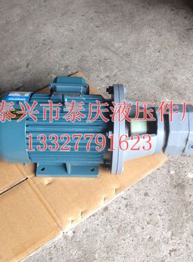 油泵电机WBB-B63/50/40/80/100 /125JZ 转子立式卧式三相泵组电动