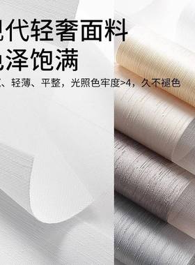 跨境遮帘柔帘免打孔书房客厅EHO纱厅阳台升降卷帘卫生阳间出口遮