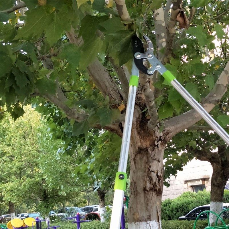 神太郎可伸缩大力剪粗枝剪刀//树枝剪刀/铝合金手柄果树剪/园艺剪,厨房电器,商用制热电器配件,淘宝优惠券,粉丝福利购,淘宝优惠卷