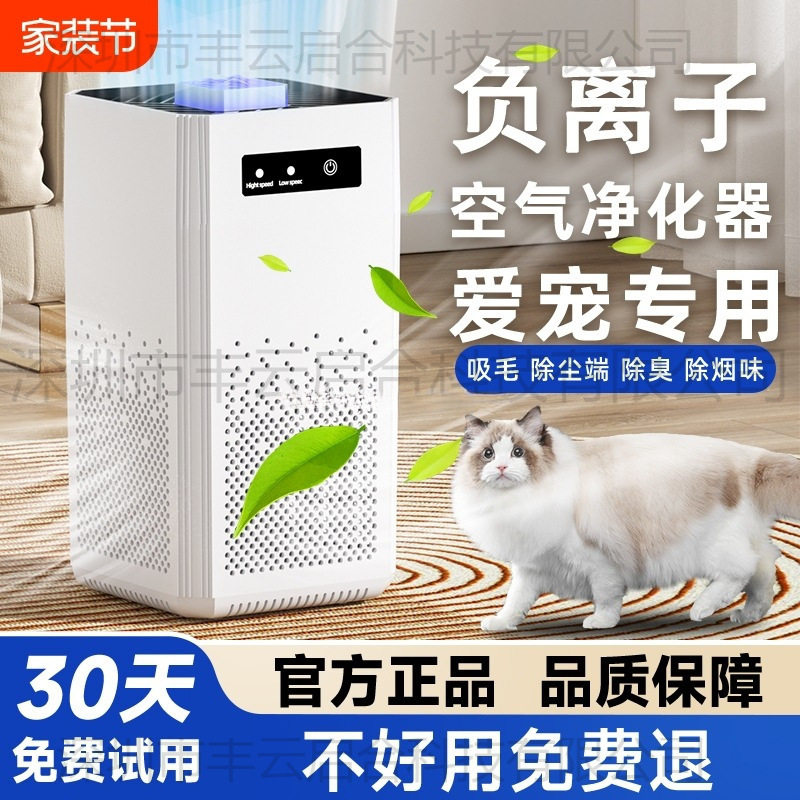 家用负离子除醛除味净化器