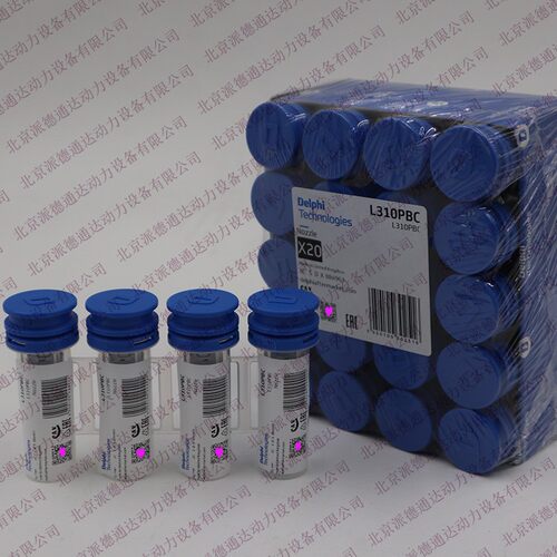 德尔福 L310PBC 油嘴使用 BEBE4D19001