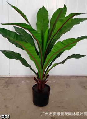 仿真鸟巢蕨带植lj200物摆件绿花植箱造景绿盆植楼梯角落小植物热