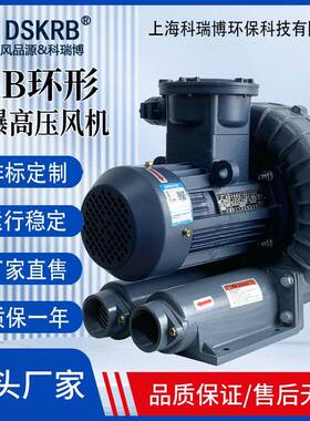 批烟量包邮RB-4000380v环DDF高压风机.4kw气吹吸循环鼓风机涡旋形
