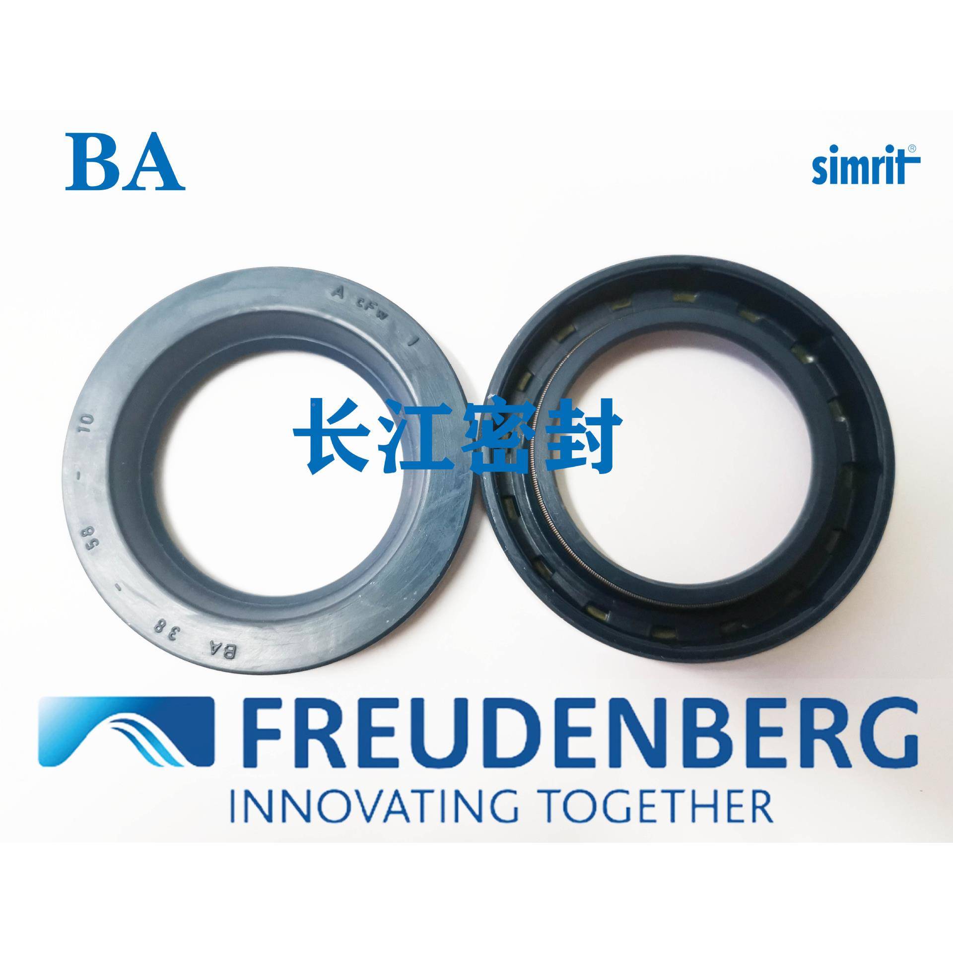 SIMMERRING1BA86-10-113CFW145-75-1AYW5国进口单唇口DIN376德0A