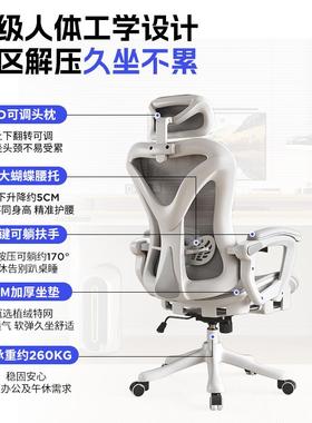 人体公久学椅子舒服坐N589ANB舒电脑椅家用可躺座椅办适椅靠背椅