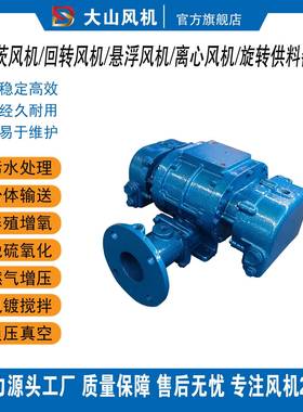 气章丘罗茨风机50#65#80#100#152H#水处理曝风机真空泵BIV龙铁建