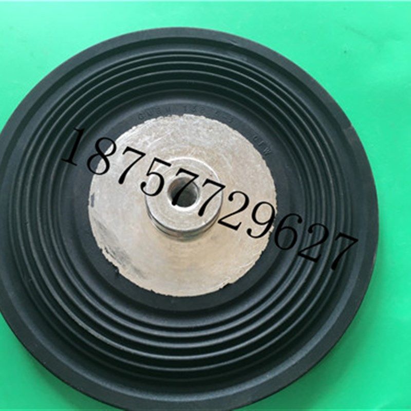 赛诺sera计量泵膜片GMBM 138.5-3 CFW隔 膜片R411.1-550e外径140