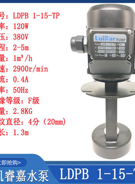 线切割机床高压循环水泵Luikar洛凯睿嘉Rocoi洛凯水泵LDPB1-15TP