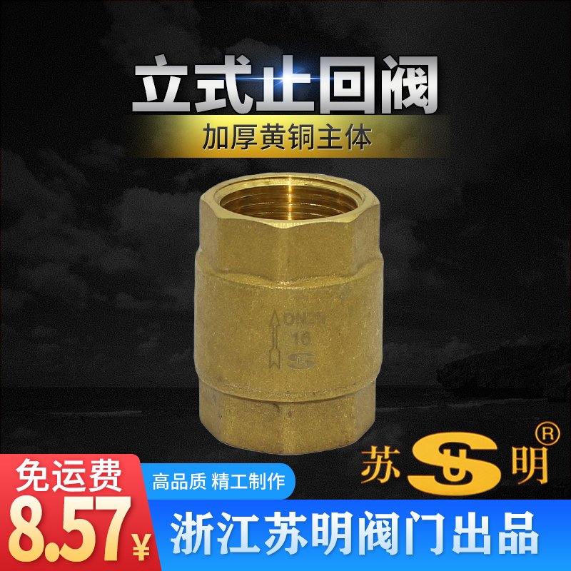 立式止回阀苏明黄铜20水表单向阀水管水泵用阀4分6分1寸dn25管件