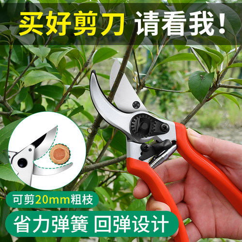 园林花剪园艺剪刀剪枝家用强力省力剪子修剪树枝果树修枝剪花枝剪