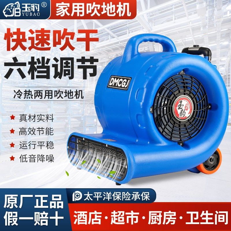 吹地机地面吹干机商用酒店超市厨房卫生间地面强力除湿吹风机