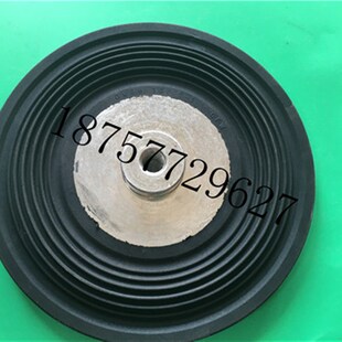 CFW隔 赛诺sera计量泵膜片GMBM 138.5 550e外径140 膜片R411.1