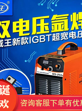 威王WS-250 315氩弧焊机电焊直流两用220V380V手提不锈钢焊机纯铜