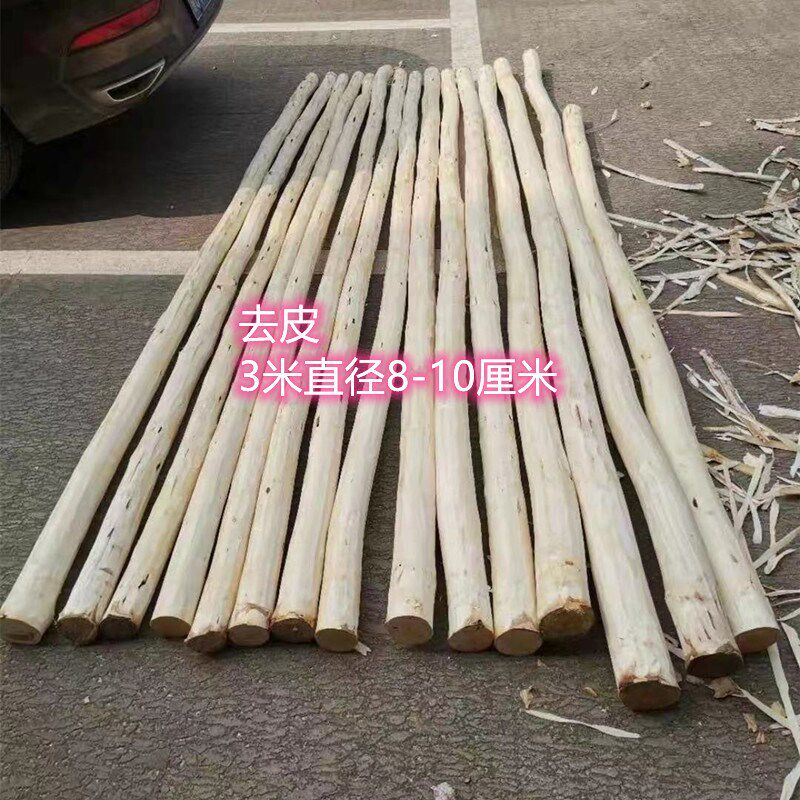 定制白桦树去皮原木树干软装隔断衣架杆圆木树枝白桦装橱窗装饰
