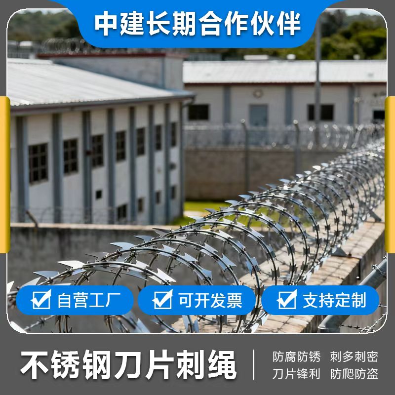 刀片刺绳不锈钢防护网刺丝滚笼刀片热镀锌带刺铁丝网防盗围墙防爬