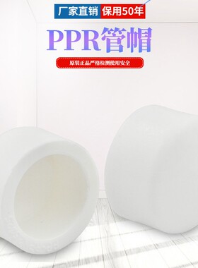 PPR管帽 管堵 PPR闷头 堵头20 4分25 6分32 1寸 PPR水管管件配件