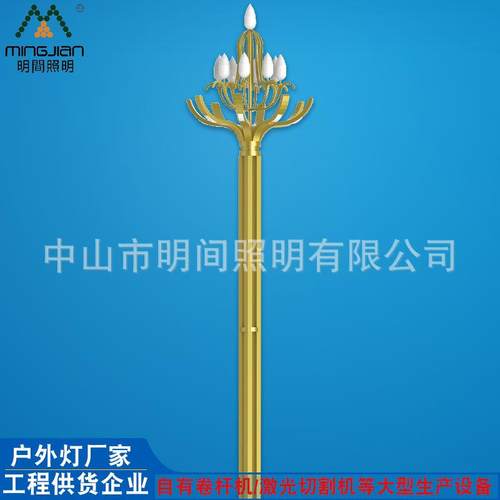 直销中式创意户外景观玉兰灯市政工程建设道路8米15米led中华灯