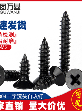 304不锈钢自攻螺丝十字平头螺丝钉黑色沉头螺丝木工螺钉M2M3M4M5