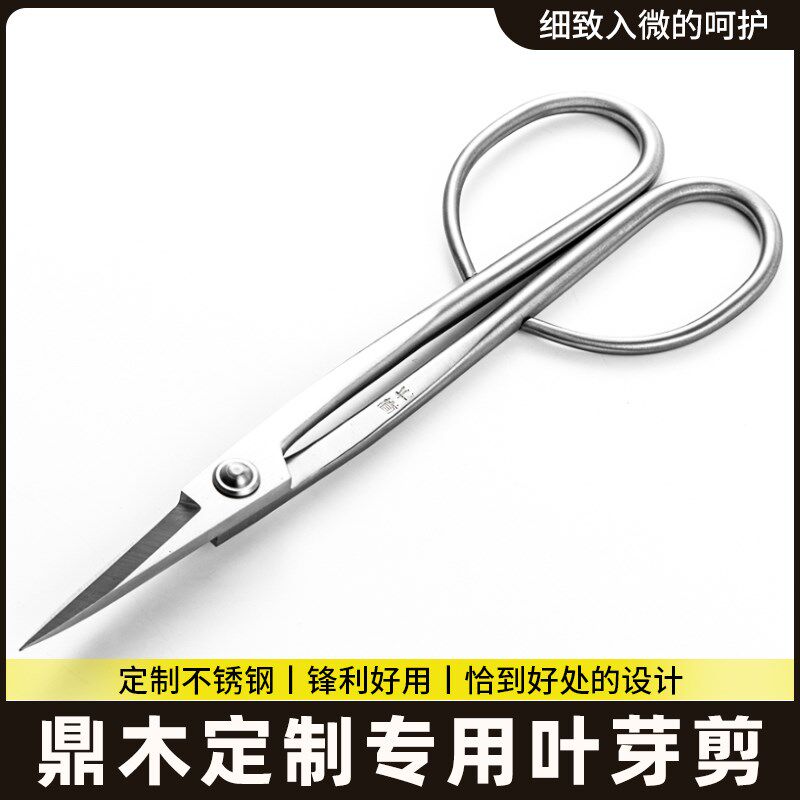 家用叶芽剪刀园艺盆景专用工具盆栽修枝剪花艺剪小枝专业插花剪子