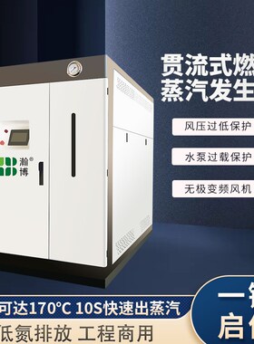 全自动燃气蒸汽发生器o洗涤熨烫酿酒0.3-1吨冷凝低氮蒸汽锅炉