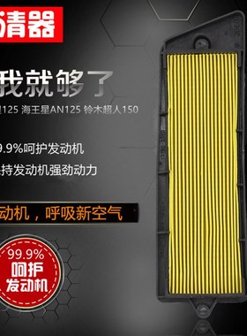 摩托车配件海王星福星HJ125T-2超人AN125T QS150空气滤芯滤清器