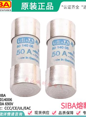 SIBA保险管5006006 700V 40A/50A/63A/80A/100A/125A 22*58 600v