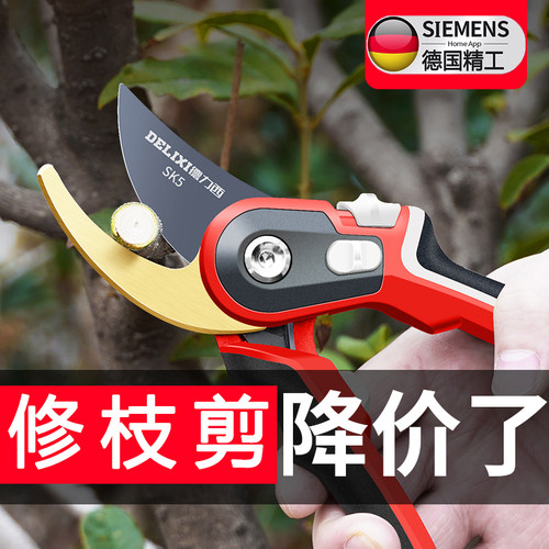 德国精工园艺剪刀修枝剪修剪果树树枝剪刀剪花专用园林果树修枝剪