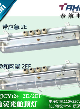 泰航船用双管萤光舱吸顶灯JCY24 ZYC24-2/2E/2EF带应急防护网罩正