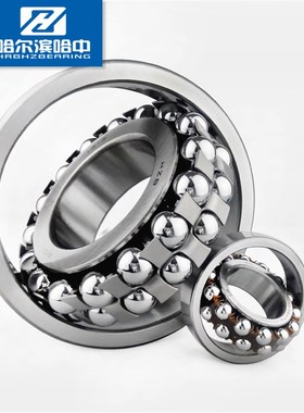 哈尔滨哈中HZB双列调心球轴承2319K 1619内径95外径200mm厚度67mm