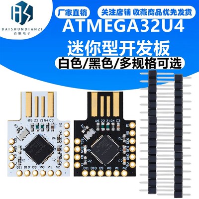 Beetle Leonardo USB ATMEGA32U4 迷你型开发板