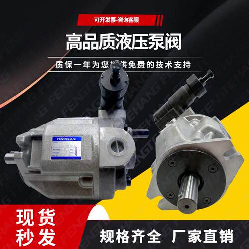 FENGTEHA柱塞泵A10-FRB2
