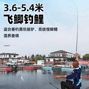 猛攻狂刃轻量小综合钓鱼竿手竿野钓台钓竿手杆超轻硬翘嘴鲫鲤鱼竿