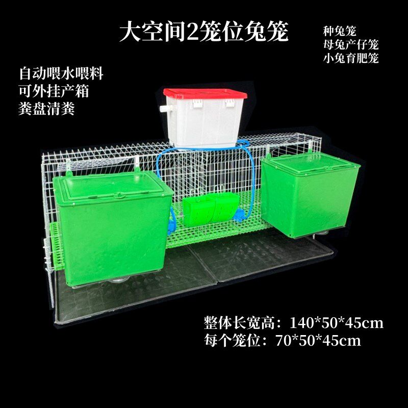 兔兔笼子两笼位加k粗加密獭兔笼母兔产仔母兔笼兔兔配对养殖育肥