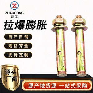 鼎威膨胀螺丝 拉爆膨胀小头带孔膨胀螺栓 铁彩锌带V孔爆炸膨胀螺