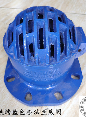 H42X10-16蓝色铸铁烤漆法兰底阀 止回阀单向阀 抽水泵吸水底阀100