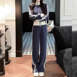运动休闲套装女2024秋新款宽松显瘦减龄立领拉链卫衣阔腿裤两件套