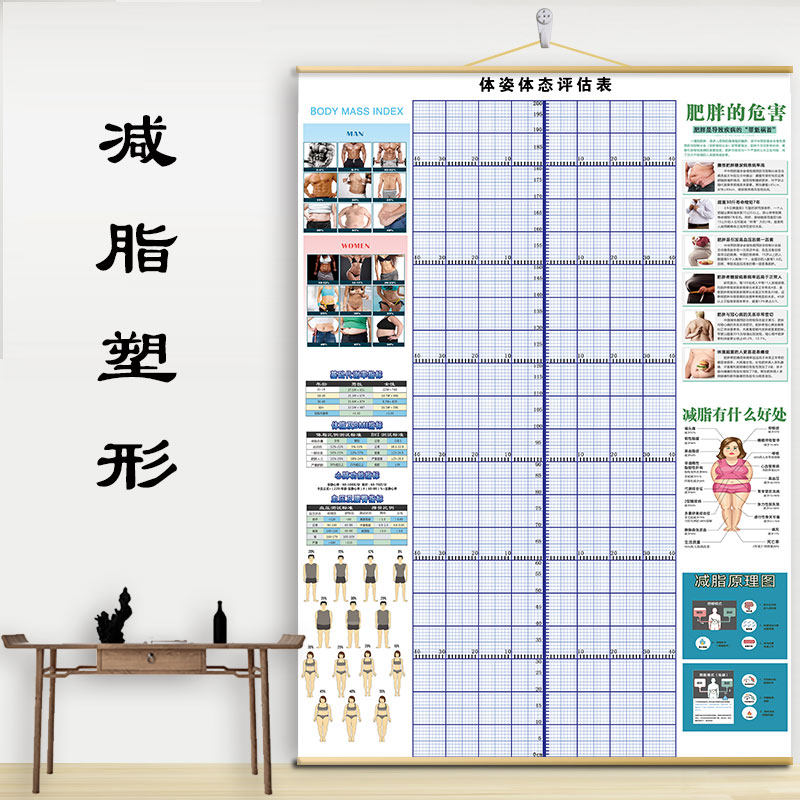 定制体态评估表瑜伽私教体位姿势身体评估背景墙体测表免费Z加log