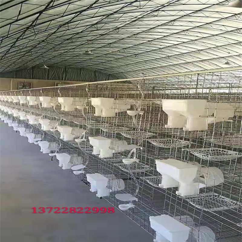 鸽笼鸽子笼12位鸽笼n4层养殖白鸽笼鸽笼用品用具3层4层养殖鸽子笼