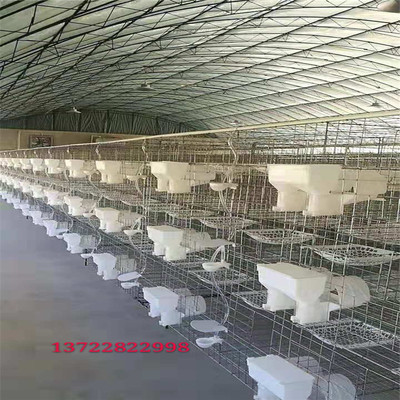 鸽笼鸽子笼12位鸽笼n4层养殖白鸽笼鸽笼用品用具3层4层养殖鸽子笼