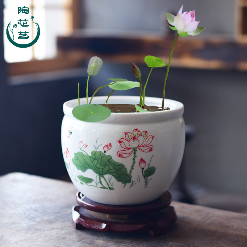 水培花盆铜钱草专用陶瓷白色圆形无孔容器小水养绿萝睡莲碗莲盆缸