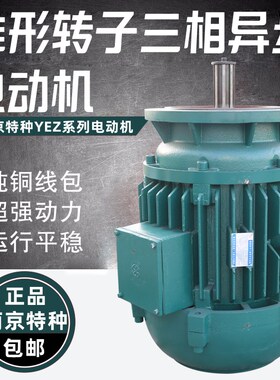 南京特种电机YEZ200L2-6 22KW搅拌站上料专用电机配套BWY BLY XWY