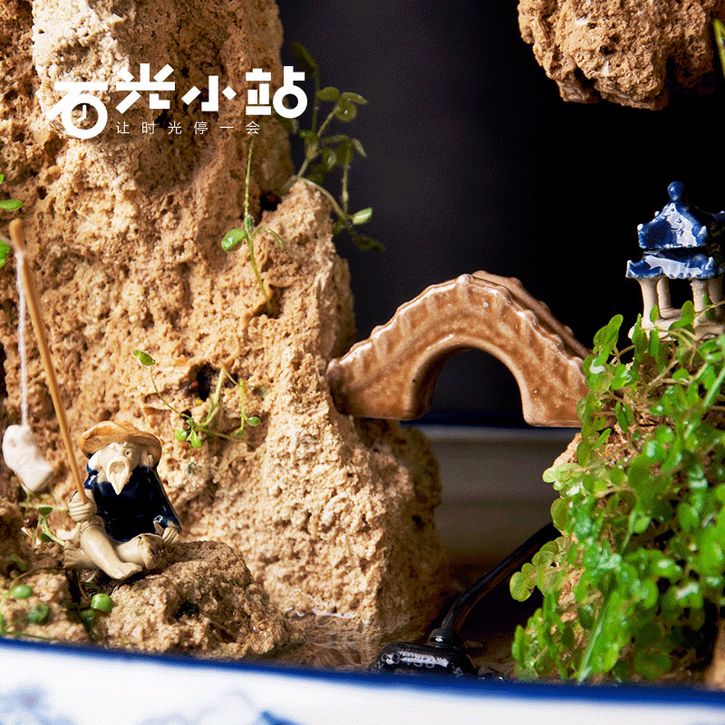 吸水石假山盆景上水石毛石原石吸水石头奇石30-34厘米组合水秀石