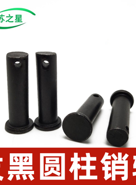 GB882带孔销轴圆柱轴销T型平头定位销钉M5M6M10M12M14M16M20