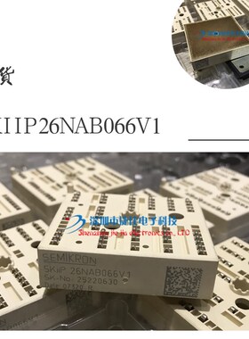 SKIIP13NAB SKIIP25NAB SKIIP26NAB SKIIP37NAB SKIIP38NAB 066V1