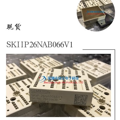 SKIIP13NAB SKIIP25NAB SKIIP26NAB SKIIP37NAB SKIIP38NAB 066V1