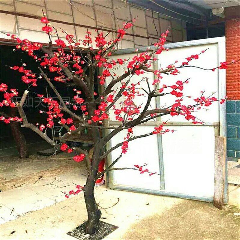 中式仿真梅花树落地腊梅树梅花枝许愿树假树大型客厅婚庆高档餐厅