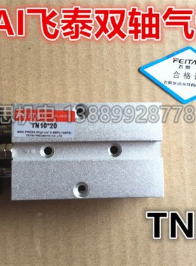 FEITAI飞泰TN10*10/20/3/40/50/60/70/80/90/100/125双轴双杆气缸