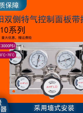 AMFLO敦阳PS210双侧特气控制面板半自动切换 不间断供气一备一用